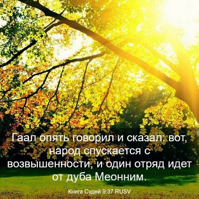 Picture 03 - Книга Судей 9:37 RUSV - Гаал опять говорил и - Bible Verse Picture
