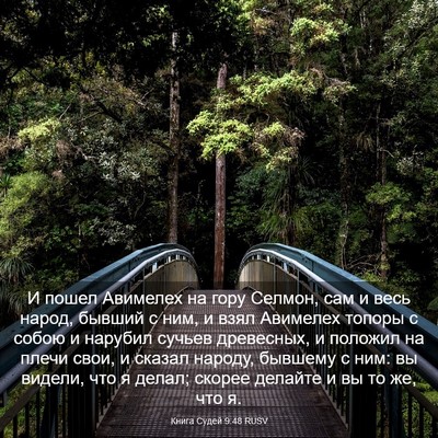Picture 03 - Книга Судей 9:48 RUSV - И пошел Авимелех на гору - Bible Verse Picture