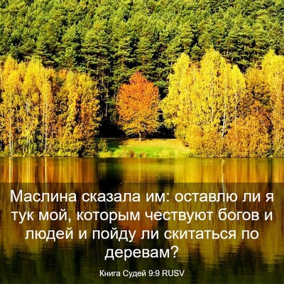 Picture 03 - Книга Судей 9:9 RUSV - Маслина сказала им: - Bible Verse Picture
