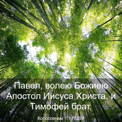 Picture 03 - Колоссянам 1:1 RUSV - Павел, волею Божиею - Bible Verse Picture