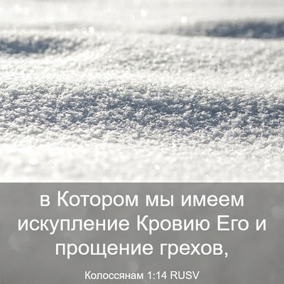 Picture 03 - Колоссянам 1:14 RUSV - в Котором мы имеем - Bible Verse Picture