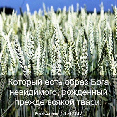 Picture 03 - Колоссянам 1:15 RUSV - Который есть образ Бога - Bible Verse Picture