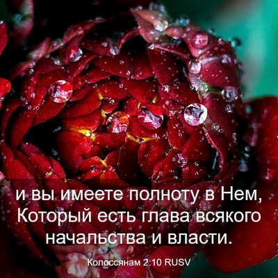 Picture 03 - Колоссянам 2:10 RUSV - и вы имеете полноту в Нем, - Bible Verse Picture