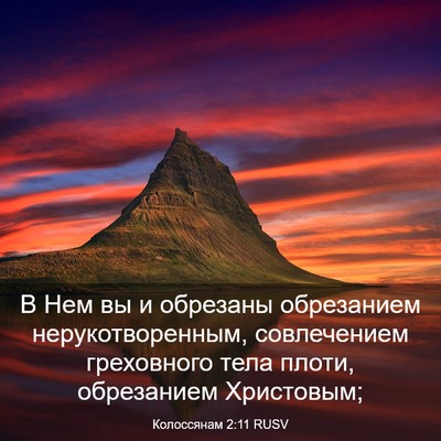 Picture 03 - Колоссянам 2:11 RUSV - В Нем вы и обрезаны - Bible Verse Picture