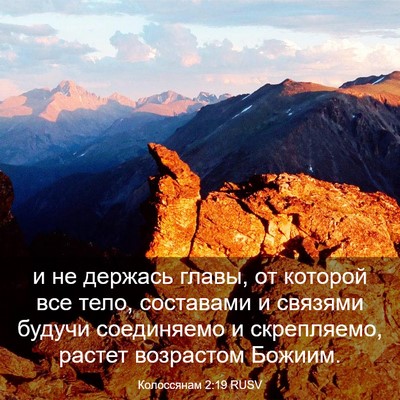 Picture 03 - Колоссянам 2:19 RUSV - и не держась главы, от - Bible Verse Picture
