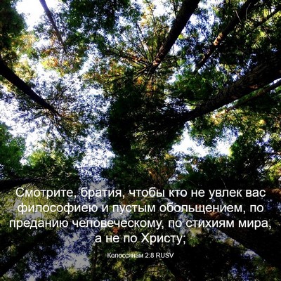 Picture 03 - Колоссянам 2:8 RUSV - Смотрите, братия, чтобы кто - Bible Verse Picture