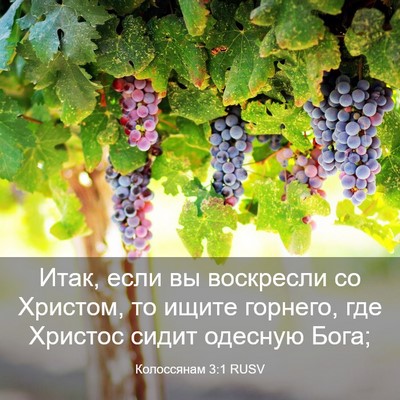Picture 03 - Колоссянам 3:1 RUSV - Итак, если вы воскресли со - Bible Verse Picture