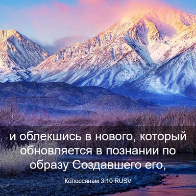Picture 03 - Колоссянам 3:10 RUSV - и облекшись в нового, - Bible Verse Picture