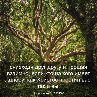 Picture 03 - Колоссянам 3:13 RUSV - снисходя друг другу и - Bible Verse Picture