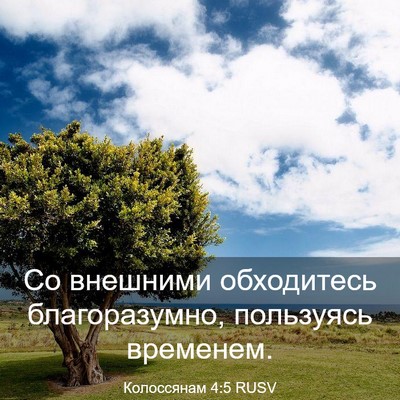 Picture 03 - Колоссянам 4:5 RUSV - Со внешними обходитесь - Bible Verse Picture
