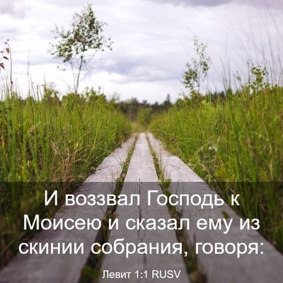 Picture 03 - Левит 1:1 RUSV - И воззвал Господь к Моисею - Bible Verse Picture