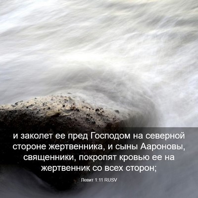 Picture 03 - Левит 1:11 RUSV - и заколет ее пред Господом - Bible Verse Picture