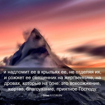 Picture 03 - Левит 1:17 RUSV - и надломит ее в крыльях ее, - Bible Verse Picture