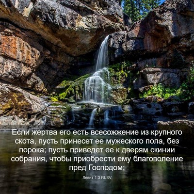 Picture 03 - Левит 1:3 RUSV - Если жертва его есть - Bible Verse Picture