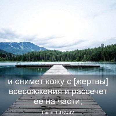 Picture 03 - Левит 1:6 RUSV - и снимет кожу с [жертвы] - Bible Verse Picture