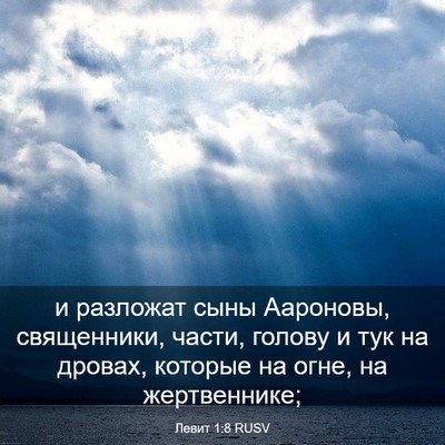 Picture 03 - Левит 1:8 RUSV - и разложат сыны Аароновы, - Bible Verse Picture