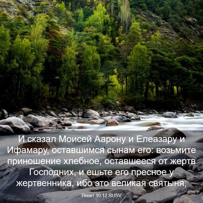 Picture 03 - Левит 10:12 RUSV - И сказал Моисей Аарону и - Bible Verse Picture