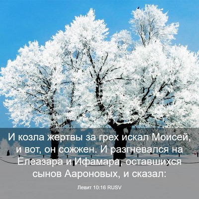 Picture 03 - Левит 10:16 RUSV - И козла жертвы за грех - Bible Verse Picture