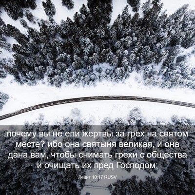 Picture 03 - Левит 10:17 RUSV - почему вы не ели жертвы за - Bible Verse Picture