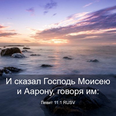 Picture 03 - Левит 11:1 RUSV - И сказал Господь Моисею и - Bible Verse Picture