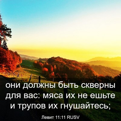 Picture 03 - Левит 11:11 RUSV - они должны быть скверны - Bible Verse Picture