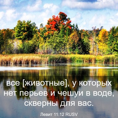 Picture 03 - Левит 11:12 RUSV - все [животные], у которых - Bible Verse Picture