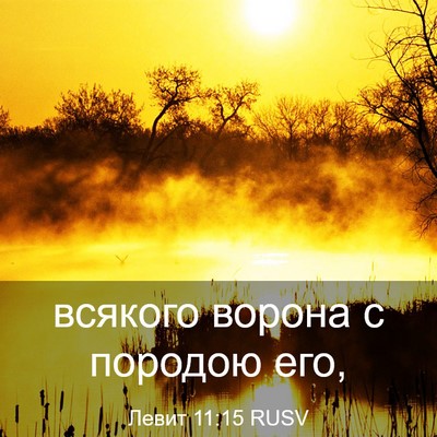 Picture 03 - Левит 11:15 RUSV - всякого ворона с породою - Bible Verse Picture