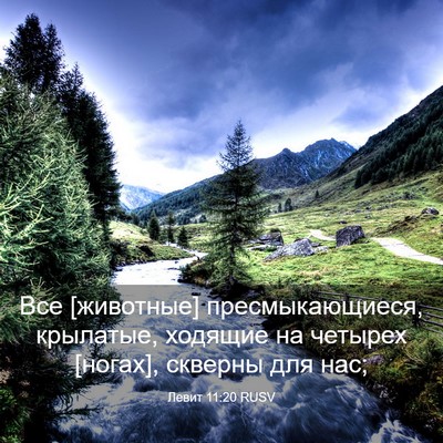Picture 03 - Левит 11:20 RUSV - Все [животные] - Bible Verse Picture