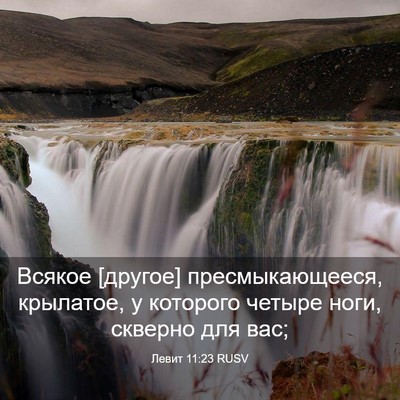 Picture 03 - Левит 11:23 RUSV - Всякое [другое] - Bible Verse Picture