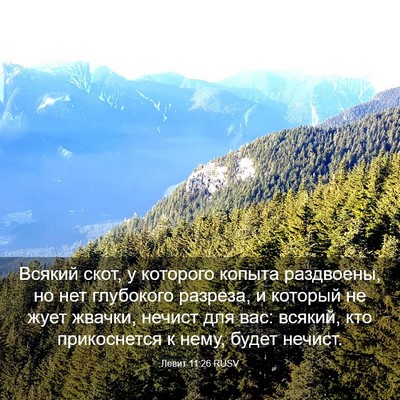 Picture 03 - Левит 11:26 RUSV - Всякий скот, у которого - Bible Verse Picture