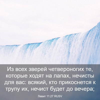 Picture 03 - Левит 11:27 RUSV - Из всех зверей - Bible Verse Picture