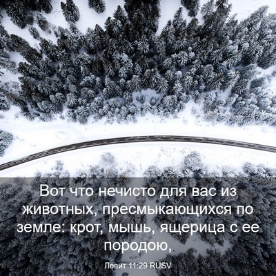 Picture 03 - Левит 11:29 RUSV - Вот что нечисто для вас из - Bible Verse Picture