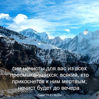 Picture 03 - Левит 11:31 RUSV - сии нечисты для вас из всех - Bible Verse Picture