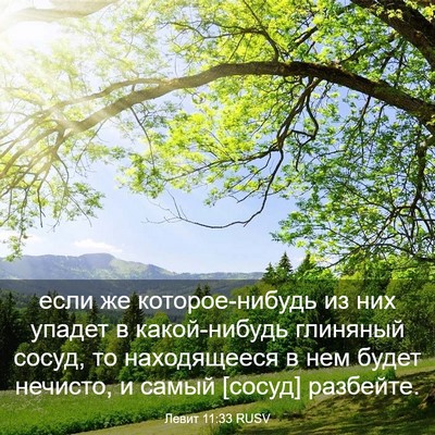 Picture 03 - Левит 11:33 RUSV - если же которое-нибудь из - Bible Verse Picture