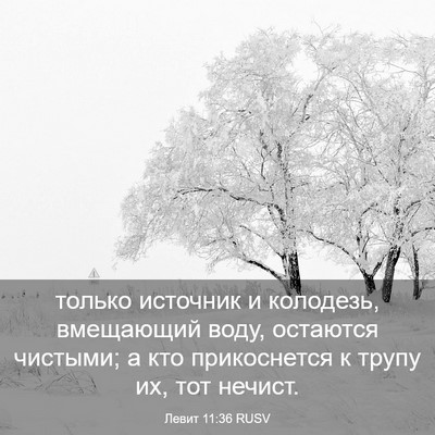 Picture 03 - Левит 11:36 RUSV - только источник и - Bible Verse Picture