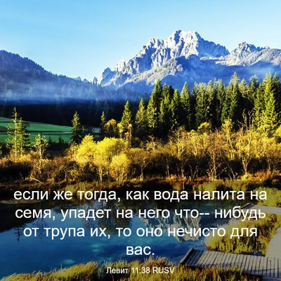 Picture 03 - Левит 11:38 RUSV - если же тогда, как вода - Bible Verse Picture