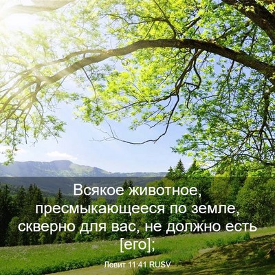 Picture 03 - Левит 11:41 RUSV - Всякое животное, - Bible Verse Picture