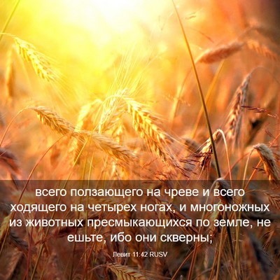 Picture 03 - Левит 11:42 RUSV - всего ползающего на чреве - Bible Verse Picture