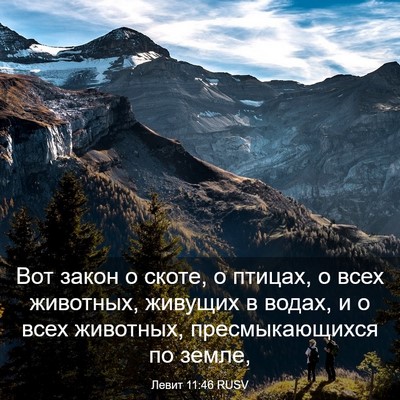 Picture 03 - Левит 11:46 RUSV - Вот закон о скоте, о птицах, - Bible Verse Picture