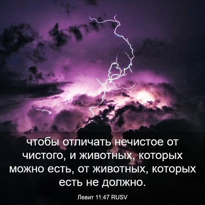 Picture 03 - Левит 11:47 RUSV - чтобы отличать нечистое от - Bible Verse Picture