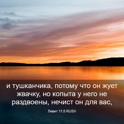 Picture 03 - Левит 11:5 RUSV - и тушканчика, потому что он - Bible Verse Picture