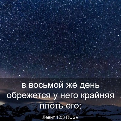 Picture 03 - Левит 12:3 RUSV - в восьмой же день - Bible Verse Picture
