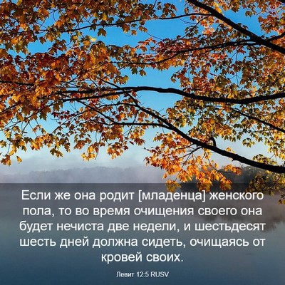 Picture 03 - Левит 12:5 RUSV - Если же она родит - Bible Verse Picture