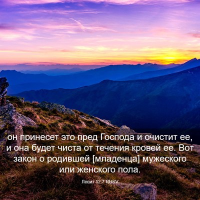 Picture 03 - Левит 12:7 RUSV - он принесет это пред - Bible Verse Picture