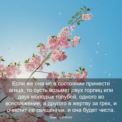 Picture 03 - Левит 12:8 RUSV - Если же она не в состоянии - Bible Verse Picture