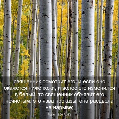 Picture 03 - Левит 13:20 RUSV - священник осмотрит его, и - Bible Verse Picture