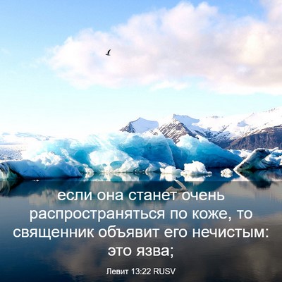 Picture 03 - Левит 13:22 RUSV - если она станет очень - Bible Verse Picture