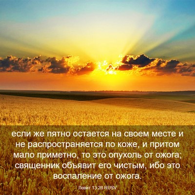 Picture 03 - Левит 13:28 RUSV - если же пятно остается на - Bible Verse Picture