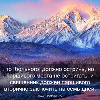 Picture 03 - Левит 13:33 RUSV - то [больного] должно - Bible Verse Picture