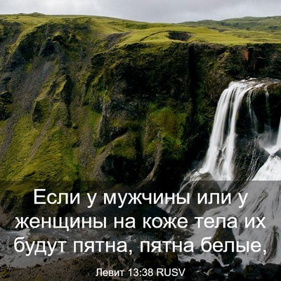 Picture 03 - Левит 13:38 RUSV - Если у мужчины или у - Bible Verse Picture